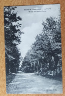 HESDIN . 62 . Route De Saint Omer . La Foret . - Hesdin