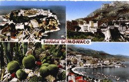 CPA MONACO - LE ROCHER - PALAIS DU PRINCE - JARDIN EXOTIQUE - Sonstige & Ohne Zuordnung