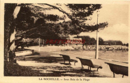 CPA LA ROCHELLE - SOUS BOIS DE LA PLAGE - La Rochelle