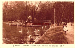 CPA LYON - PARC DE LA TETE D'OR - LE COIN DES CYGNES - MF - Other & Unclassified