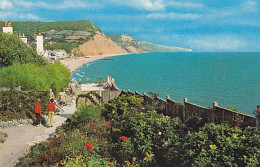 AK 215452 ENGLAND - Sidmouth - The Bay - Other & Unclassified