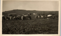 Photographie Photo Snapshot Anonyme Grèce WW1 Dardanelles Guerre Aviation  - War, Military