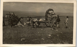 Photographie Photo Snapshot Anonyme Grèce WW1 Dardanelles Guerre Aviation  - Guerre, Militaire