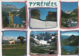 99205 - Frankreich - Pyrenäen - Ca. 1995 - Autres