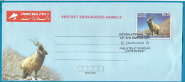 Pakistan : Wild Life Series International Day Of Markhor "  Inland Envelope  " Limited Time Offer - Pakistan