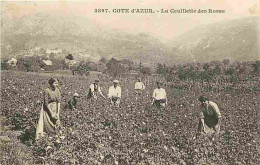 06 - Alpes Maritimes - Cote D'Azur - La Cueillette Des Roses - Animée - CPA - Oblitération Ronde De 1914 - Voir Scans Re - Autres & Non Classés