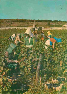 Vignes - Scène De Vendanges - CPM - Voir Scans Recto-Verso - Vignes