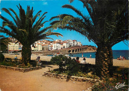 66 - Banyuls Sur Mer - La Promenade Et La Plage - CPM - Voir Scans Recto-Verso - Banyuls Sur Mer