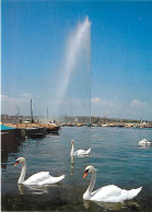 Suisse - GE Genève - Genève - Le Jet D'eau - Cygnes - CPM - Carte Neuve - Voir Scans Recto-Verso - Otros & Sin Clasificación