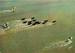 13 - Camargue - Gardians Et Manade De Taureaux Traversant Un étang - Chevaux - CPM - Voir Scans Recto-Verso - Autres & Non Classés