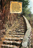 07 - Thueyts - L'Escalier De La Reine Conduisant à La Coulée Basaltique De La Chaussée Des Géants - Carte Neuve - CPM -  - Sonstige & Ohne Zuordnung