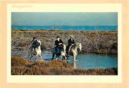 Animaux - Chevaux - Camargue - Scène Camarguaise - Retour Des Paturages - CPM - Voir Scans Recto-Verso - Chevaux