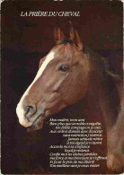 Animaux - Chevaux - Portrait De Cheval - La Prière Du Cheval - Voir Scans Recto Verso  - Horses