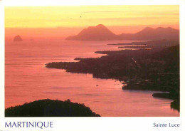 Martinique - Sainte Luce - Coucher De Soleil - CPM - Voir Scans Recto-Verso - Autres & Non Classés