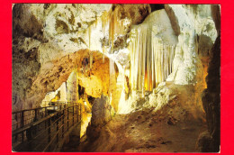 ITALIA - MARCHE - Grotte Di Frasassi - Genga (Ancona) - La Grotta Grande Del Vento - Cartolina Viaggiata Nel 1975 - Sonstige & Ohne Zuordnung