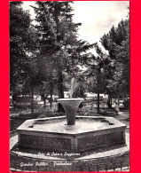 ITALIA - MARCHE - Sarnano (Macerata) - Giardini Pubblici - Particolare - Cartolina Viaggiata Nel 1961 - Sonstige & Ohne Zuordnung