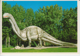 Zoo And Dinosaur Park Calgary Alberta Canada.'' Dinny The Dinosaur''  Pictured Here   2sc - Calgary