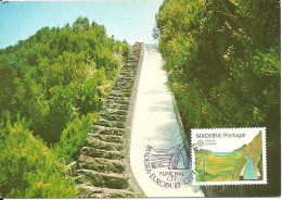 31082 - Carte Maximum - Portugal - Europa CETP Madeira - Levada Canal De água - Canal D' Eau - Cartoline Maximum