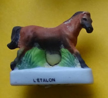 Fève  -  Equitation - Cheval - L étalon - Animals