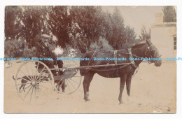 C000329 Man. Horse. Republica Argentina. Unknown Place - World