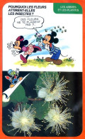 Disney Humour Pourquoi Fleurs Attirent Insectes  Fiche Illustrée Documentée Plantes Et Arbres - Other & Unclassified