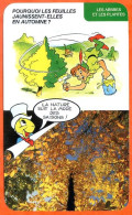 Disney Humour Pourquoi Feuilles Jaunissent Automne  Fiche Illustrée Documentée Plantes Et Arbres - Other & Unclassified