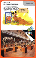 Disney Humour Paléontologue Fossiles Science Fiche Illustrée Documentée Métier Métiers - Other & Unclassified