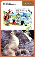 Disney Humour Mammifères Otarie Et Son Petit  Fiche Illustrée Documentée Animaux - Sonstige & Ohne Zuordnung