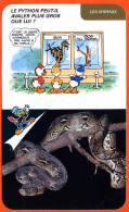 Disney Humour Le Python  Fiche Illustrée Documentée Animaux - Andere & Zonder Classificatie