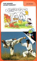 Disney Humour Le Karaté Art Martial  Fiche Illustrée Documentée Sport Sports - Sonstige & Ohne Zuordnung