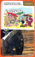 Disney Humour Le Gorille Fiche Illustrée Documentée Animaux - Autres & Non Classés
