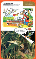 Disney Humour Le Coucou  Fiche Illustrée Documentée Animaux - Otros & Sin Clasificación