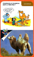 Disney Humour Le Chameau Fiche Illustrée Documentée Animaux - Autres & Non Classés
