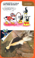 Disney Humour La Moufette Fiche Illustrée Documentée Animaux - Andere & Zonder Classificatie