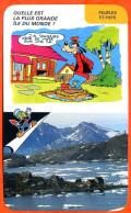 Disney Humour La Plus Grande Ile Du Monde Kap Dan Groenland Fiche Illustrée Documentée Peuples Et Pays - Autres & Non Classés