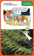 Disney Humour La Chlorophylle Fiche Illustrée Documentée Plantes Et Arbres - Sonstige & Ohne Zuordnung