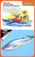 Disney Humour La Baleine  Fiche Illustrée Documentée Animaux - Andere & Zonder Classificatie