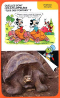 Disney Humour Iles Des Tortues Tortue Iles Galapagos  Fiche Illustrée Documentée Peuples Et Pays - Autres & Non Classés