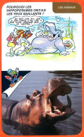 Disney Humour Hippopotame  Fiche Illustrée Documentée Animaux - Sonstige & Ohne Zuordnung