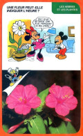 Disney Humour Fleur Peut Elle Indiquer Heure  Fiche Illustrée Documentée Plantes Et Arbres - Other & Unclassified