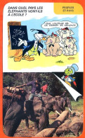 Disney Humour Elephants Transport Bois Thaillande Fiche Illustrée Documentée Peuples Et Pays - Otros & Sin Clasificación