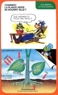 Disney Humour Comment Plante Verte Se Nourrit Elle ? Fiche Illustrée Documentée Plantes Et Arbres - Other & Unclassified