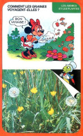 Disney Humour Comment Graines Volent ? Pissenlit  Fiche Illustrée Documentée Plantes Et Arbres - Other & Unclassified