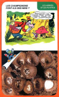 Disney Humour Champignons Font Ils Nids  Fiche Illustrée Documentée Plantes Et Arbres - Autres & Non Classés