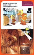 Disney Humour Caves Sous Les Maisons Pourquoi ? Epernay  Fiche Illustrée Documentée Vie Quotidienne - Other & Unclassified