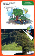 Disney Humour Bonsaï C'est Quoi ? Fiche Illustrée Documentée Plantes Et Arbres - Autres & Non Classés