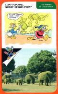 Disney Humour Art Topiaire Eléphants En Thaïlande Fiche Illustrée Documentée Plantes Et Arbres - Andere & Zonder Classificatie
