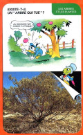 Disney Humour Arbre Qui Tue Mancenillier Fiche Illustrée Documentée Plantes Et Arbres - Other & Unclassified