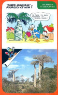Disney Humour Arbre Bouteille Pourquoi ? Adansonias Madagascar Fiche Illustrée Documentée Plantes Et Arbres - Autres & Non Classés