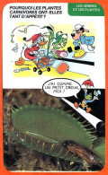 Disney Humour Appétit Plantes Carnivores Dionée Gobe Mouches  Fiche Illustrée Documentée Plantes Et Arbres - Other & Unclassified